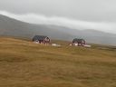 19_selfoss_155.JPG