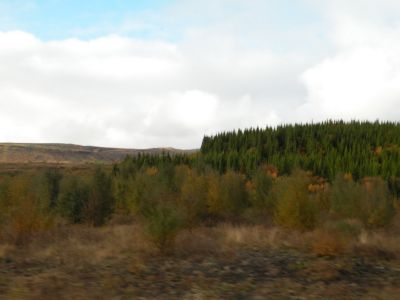 19_selfoss_218.JPG