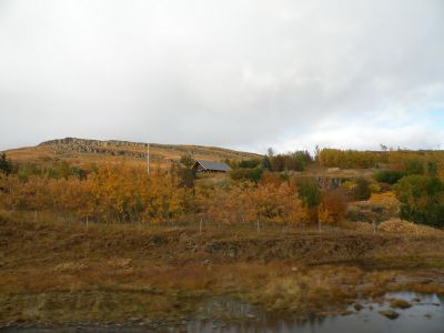 19_selfoss_229.JPG
