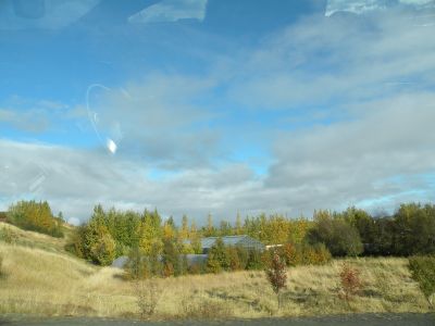 19_selfoss_239.JPG