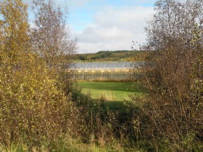 19_selfoss_241.JPG