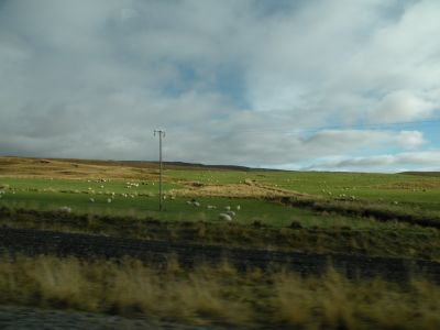 19_selfoss_252.JPG