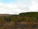 19_selfoss_218.JPG