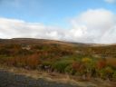 19_selfoss_220.JPG