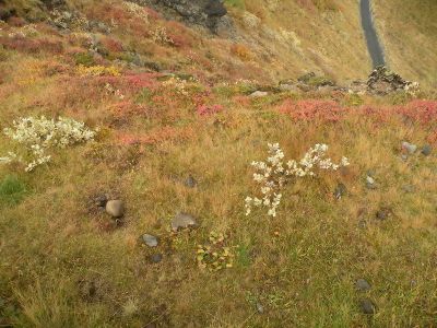 19_selfoss_318.JPG