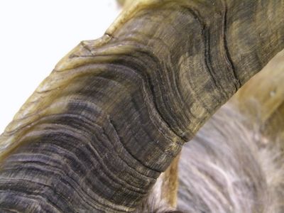 20_selfoss_104.JPG