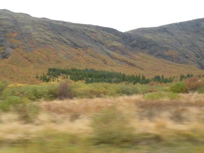 20_selfoss_112.JPG