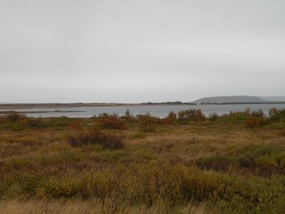20_selfoss_117.JPG