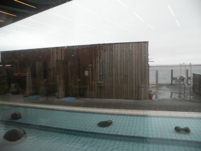 20_selfoss_125.JPG