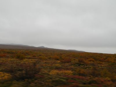 20_selfoss_150.JPG