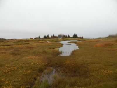 20_selfoss_176.JPG
