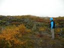20_selfoss_154.JPG