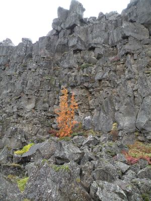 20_selfoss_202.JPG