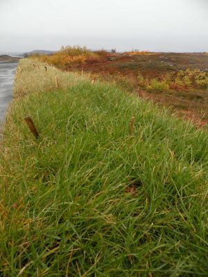 20_selfoss_233.JPG