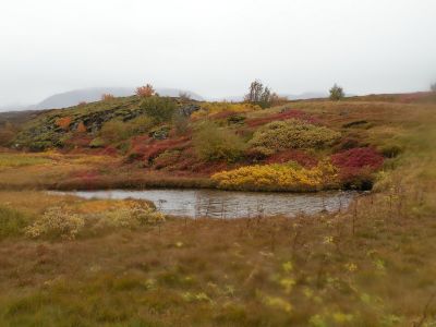 20_selfoss_254.JPG