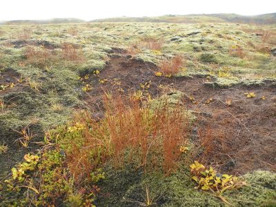 20_selfoss_299.JPG