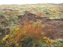 20_selfoss_299.JPG