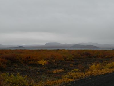 20_selfoss_311.JPG