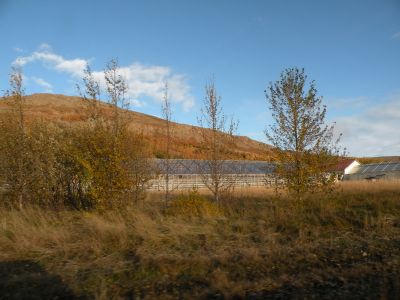21_grindavik_004.JPG