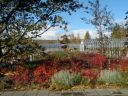 21_grindavik_068.JPG