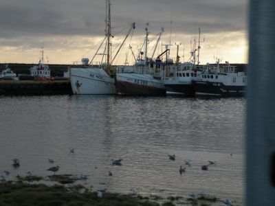 21_grindavik_202.JPG