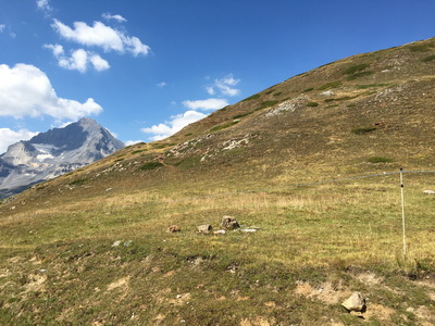 20220811_lelacblanc_44.JPG