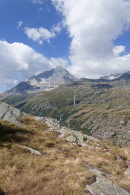 20220811_lelacblanc_60.JPG
