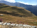 20220811_lelacblanc_42.JPG