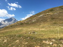 20220811_lelacblanc_44.JPG