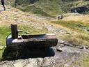 Filename=20220812_averole_20.JPG
Filesize=310KiB
Dimensions=800x600
Date added=Aug 20, 2022 20220812_averole_20.JPG