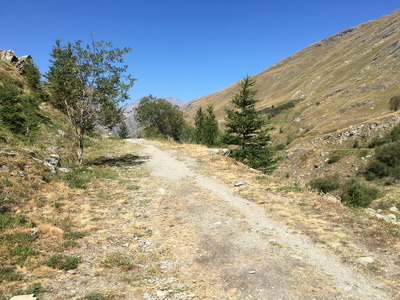 20220813_lecot_22.JPG