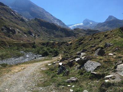 20220813_lecot_23.JPG