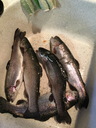 20220813_lecot_36.JPG