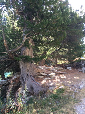 20220815_fondaussois_039.JPG