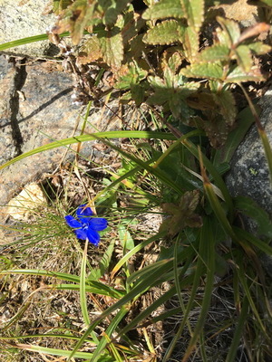 20220815_fondaussois_062.JPG