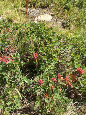 20220815_fondaussois_063.JPG