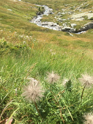 20220815_fondaussois_075.JPG