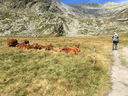 20220815_fondaussois_060.JPG