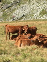 20220815_fondaussois_061.JPG