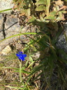 20220815_fondaussois_062.JPG