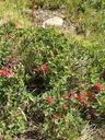 20220815_fondaussois_063.JPG