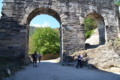 20220816_suze_01.JPG