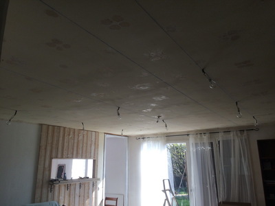 othis_0082.JPG