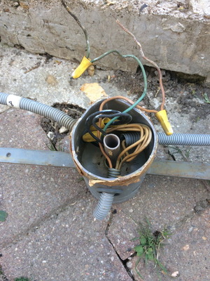 othis_0096.JPG