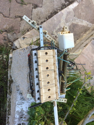 othis_0098.JPG