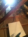 othis_0080.JPG