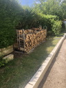 othis_0969.JPG