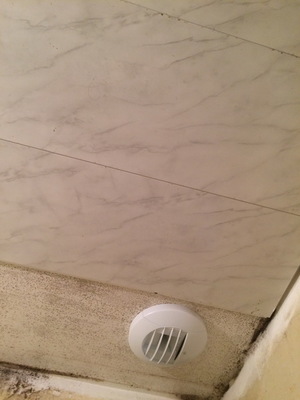 othis_0119.JPG