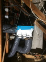 othis_0115.JPG