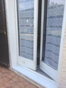 othis_0149.JPG